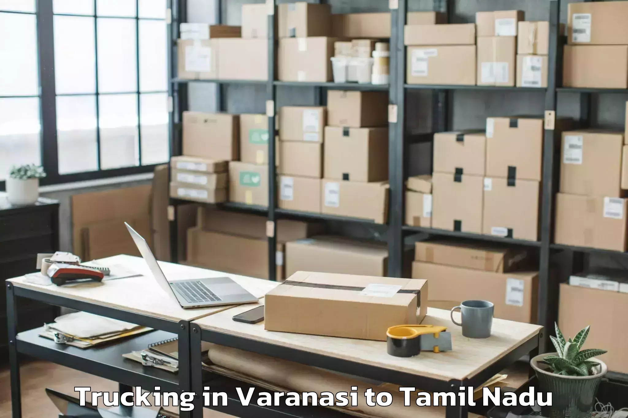 Reliable Varanasi to Karumbakkam Trucking